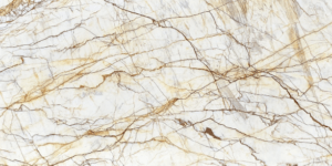 Golden Spider anatolia by Faso Marble